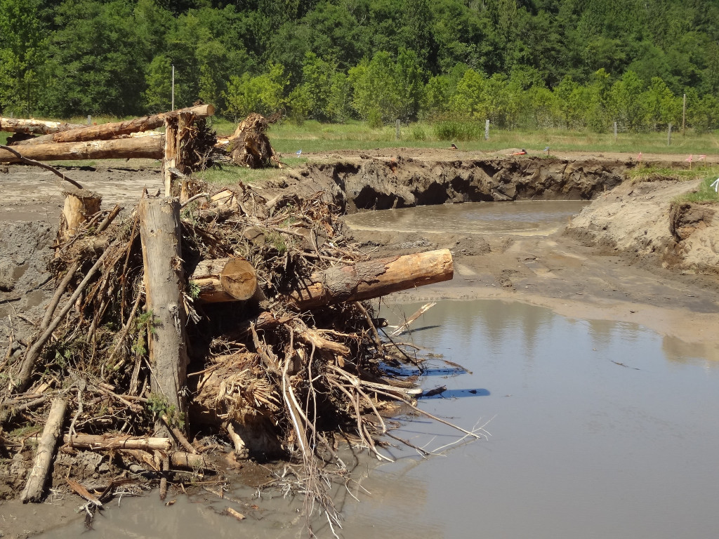 Large woody debris is installed to provide refuge for fish. 