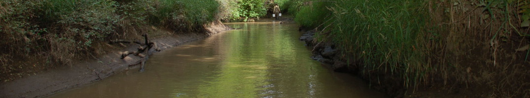 Ohop Creek Restoration Project