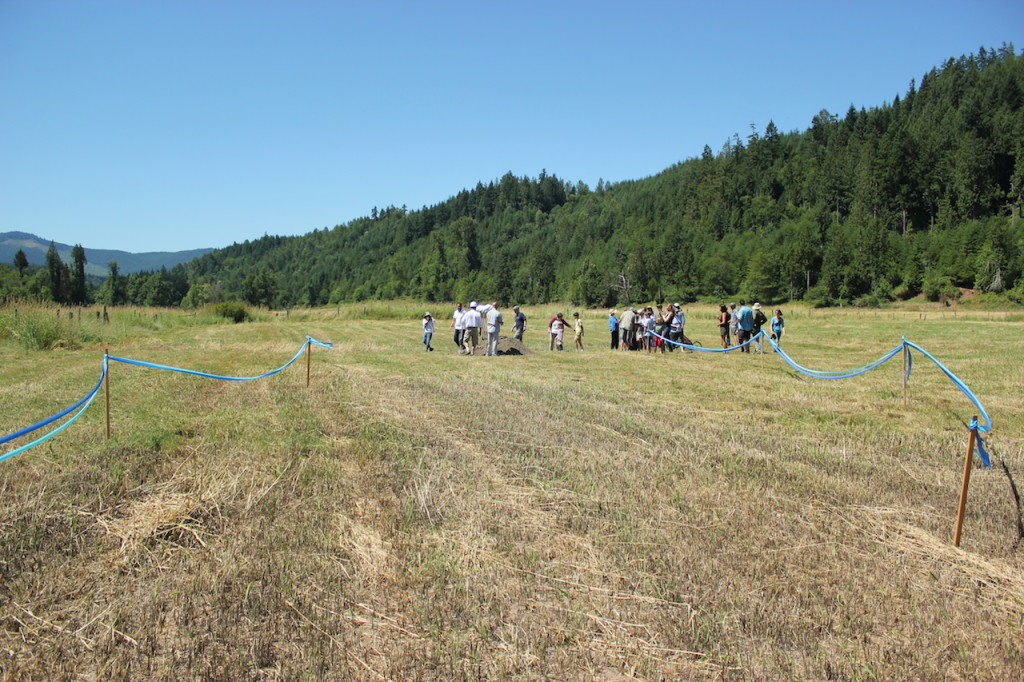 The groundbreaking took place in the soon-to-be Ohop Creek channel. The new channel will be wider and shallower than the ditch it is currently in. This will form new habitats and will enhance salmon populations. Photo credit: Emmett O'Connell.